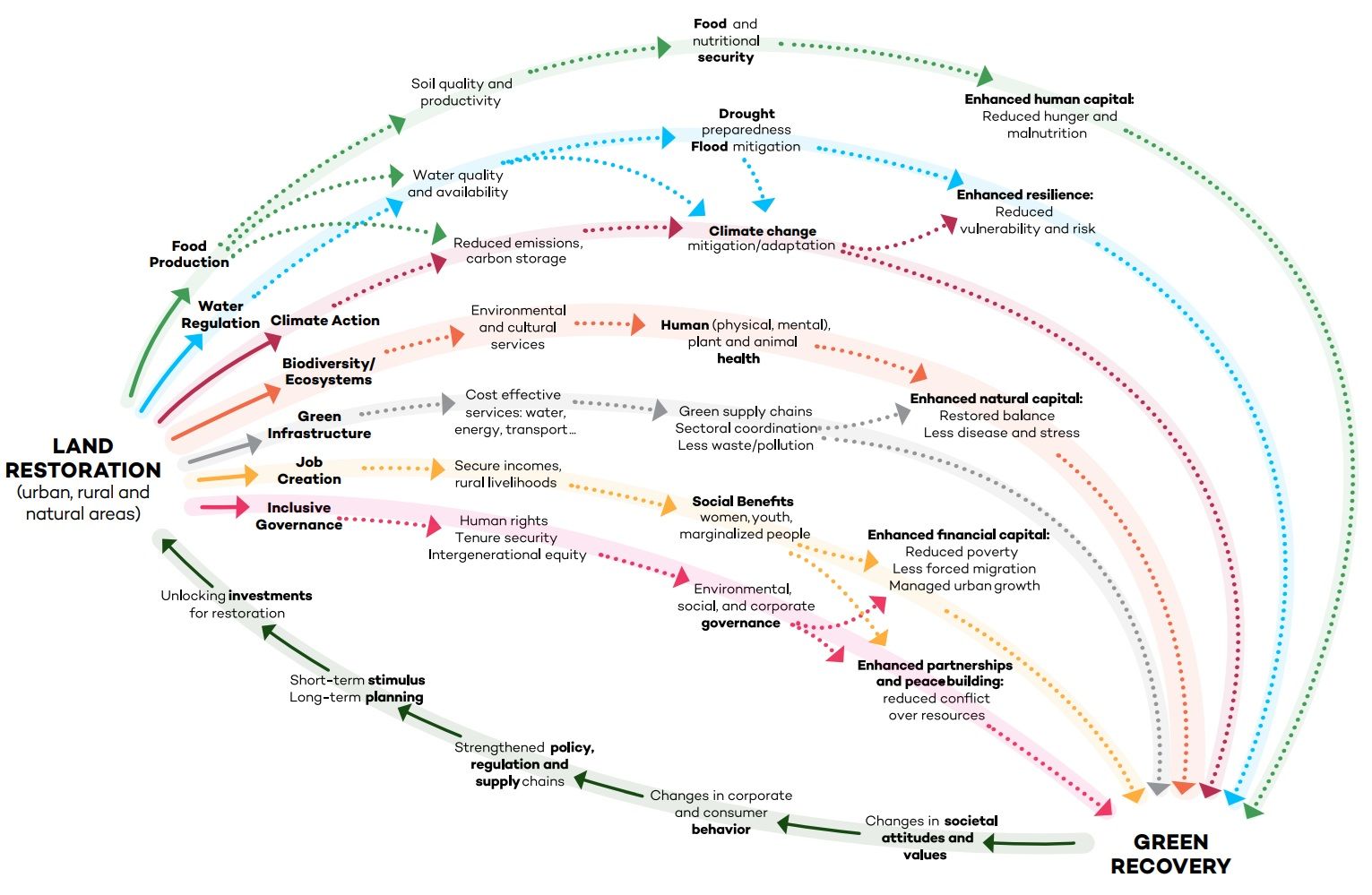 Restoration of degraded farmland - Image 1.jpg