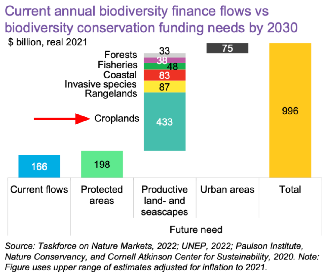Screenshot 2024-01-11 at 10.33.37 AM.png
